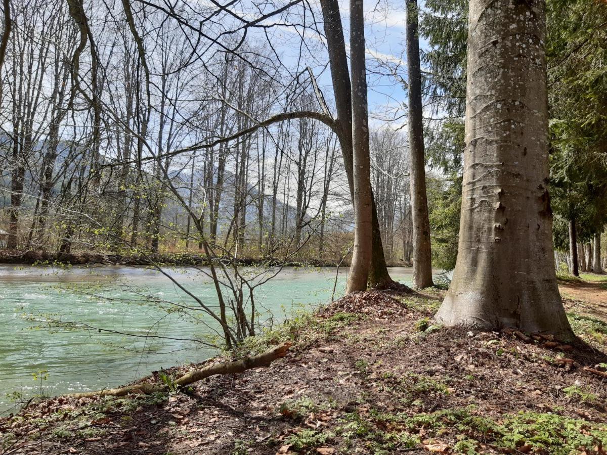 Campingfass Almtal Scharnstein Exterior foto